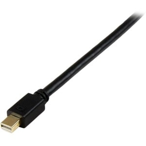 StarTech.com 3ft Mini DisplayPort to DVI Cable, Active Mini DP to DVI-D Adapter/Converter Cable, 1080p Video, mDP to DVI M
