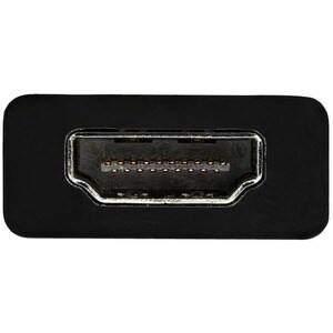 StarTech.com Video Adapter - 1 Pack - 1 x 24-pin USB 3.1 (Gen 1) Type C - Male - 1 x 19-pin HDMI 2.0b Digital Audio/Video 