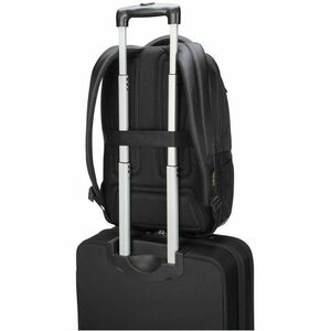 Targus CityGear TCG662GL Carrying Case (Backpack) for 35.6 cm (14") to 39.6 cm (15.6") Notebook - Black - Shock Absorbing,