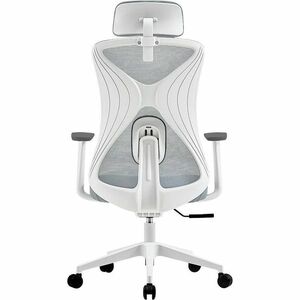 Silla de Oficina Acteck Floe Pro EC737 / Ergonómica + Ajuste lumbar + Reposa brazos fijo + Sistema de bloqueo / Reposa bra