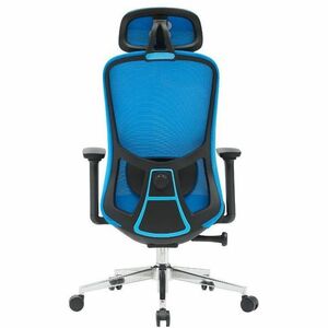 NEWSKILL Nue Gaming Chair - Black, Blue