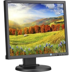 NEC Display MultiSync EA193Mi 19" Class SXGA LCD Monitor - 5:4 - Black - 48.3 cm (19") Viewable - In-plane Switching (IPS)