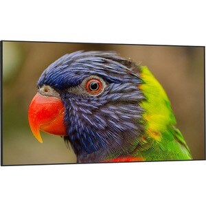 DynaScan DS752LR4 Digital Signage Display - 75" LCD Cortex A17 1.60 GHz - 2 GB - 3840 x 2160 - Direct LED - 3500 Nit - 216