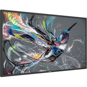 Philips Q-Line 50BDL3511Q 125.7 cm (49.5") LCD Ecrã de assinatura digital - Alinhamento vertical (VA) - 3840 x 2160 - Dire