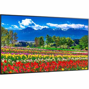 Sharp NEC Display 75" Ultra High Definition Professional Display - 75" (1905 mm) LCD - In-plane Switching (IPS) Technology