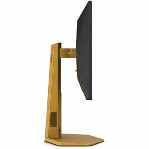 24.5 CS2 Special Eddition Fast IPS FHD Adaptive Sync 0.3ms 310Hz OC HDR400 2H1DP Borderless Height Adjustable Stand VESA 1