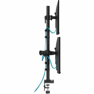 Neomounts NERO Mounting Arm for Monitor, Display - Black - Height Adjustable - 3 Display(s) Supported - 25.4 cm to 81.3 cm