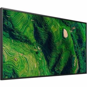 Sony Pro Bravia FW43BZ35PB 1092.20 mm LCD Digital Signage Display - 24 Hours/7 Days Operation - Energy Star - In-plane Swi