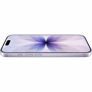 Apple iPhone 17 512 GB 智能电话 - 16 cm (6.3") HDR10+ 2622 x 1206 - 六核 (双核（2 个核心） 4.26 GHz 四核（4 个核心） - 8 GB RAM - 5G - 条 - App
