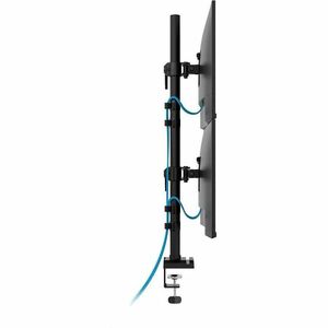 Neomounts DS60-600BL2V Mounting Arm - Black - Height Adjustable - 2 Display(s) Supported - 25.4 cm to 81.3 cm (32") Screen