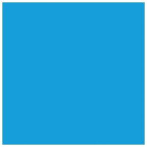 Xerox Original Standard Yield Laser Toner Cartridge - Cyan Pack - 1000 Pages