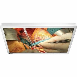 EIZO CuratOR EX3242 32" Class 4K UHD LED Monitor - 16:9 - White - 32" Viewable - In-plane Switching (IPS) Technology - LED
