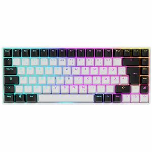 Sharkoon Skiller SGK50 S3 Gaming-Tastatur - Kabel Konnektivität - USB-Typ C Schnittstelle - RGB LED - Deutsch - Weiß - Win