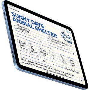 Apple iPad (11th Generation) Tablet - 11" - 4 GB - 256 GB Storage - 5G - Blue - A16 Bionic Penta-core (5 Core) - 2360 x 16