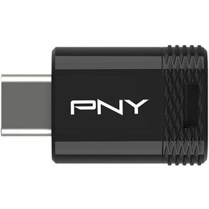Lecteur flash PNY Elite-X Fit - 256 Go - USB 3.2 (Gen 1) Type C - 200 Mo/s Read Speed - 100 Mo/s Write Speed