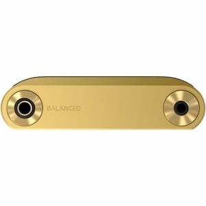 Sony Signature NW-WM1ZM2 256 GB Flash MP3 Player - Gold - 12.7 cm (5") LED - Bluetooth - Wireless LAN - Yes - SD, microSDH