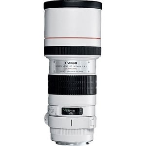 Canon EF 2530A017 - 300 mmf/4 - Telephoto Fixed Lens - 0.13x Magnification - 90 mm Diameter
