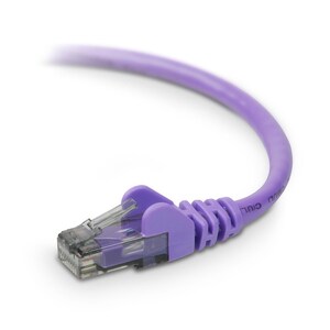 Belkin Cat. 6 High Performance UTP Patch Cable - RJ-45 Male - RJ-45 Male - 14ft - Purple