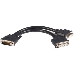 StarTech.com LFH 59 Male to Dual Female DVI I DMS 59 Cable - 2 x DVI-D (Dual-Link) Female - 1 x DMS-59 Male - Black