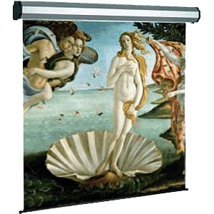 Schermo di proiezione SOPAR Electric Professional 5352 - 401,6 cm (158,1") - Elettrico - 16:9 - 197 cm (77,6") Altezza x 3