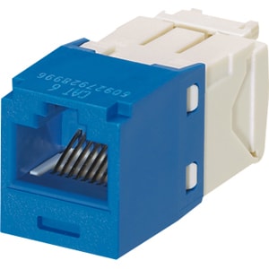 Panduit Mini-Com Cat.6 UTP Module - 1 x RJ-45 Network Female - Blue