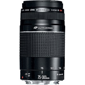 Canon EF C21-9891-201 - 75 mm to 300 mmf/5.6 - Telephoto Zoom Lens - 58 mm Attachment - 0.25x Magnification - 71 mm Diameter