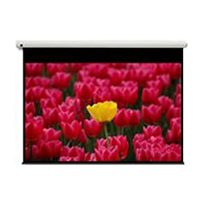 Optoma Panoview DE-9120EGA 304,8 cm (120 Zoll) Elektrische Projektionsleinwand - Frontprojektion - 16:9 - Mattweiß - 1 Gai
