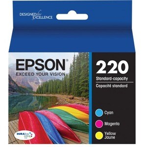 Epson DURABrite T220520 Original Standard Yield Inkjet Ink Cartridge - Multi-pack - Cyan - 1 / Each - 165 Pages