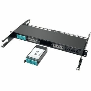 Eaton Tripp Lite Series 100Gb/120Gb to 10Gb Breakout Cassette - 24-Fiber OM4 MTP/MPO ( Male with Pins ) to (x12) LC - 1 x 
