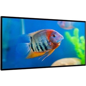 55" 1000 nit Professional High Brightness LCD DI551ST2 con ANDROID