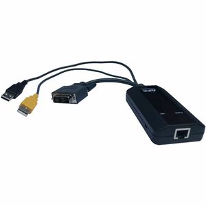 Schneider Electric Server Interface Module for Keyboard/Mouse, Monitor, Server - First End: DVI Digital Video, USB - Secon