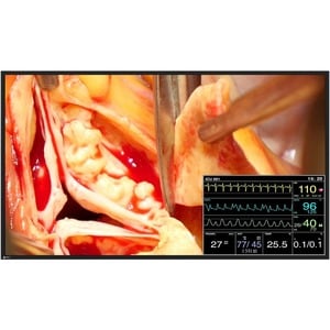 EIZO CuratOR LX491W-BK Full HD LCD Monitor - 16:9 - Black - 48.5" Viewable - LED Backlight - 1920 x 1080 - 16.8 Million Co