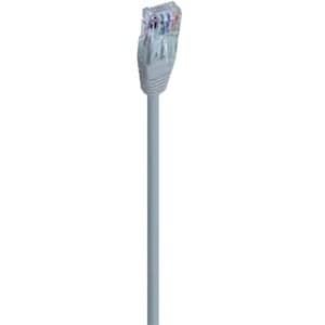 Câble réseau DCU - 25 cm Catégorie 6 - pour Périphérique réseau - 2e bout: 1 x RJ-45 Network - Male - 24 AWG - Gris