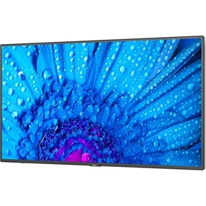 NEC Display 43" Ultra High Definition Professional Display - 43" LCD - High Dynamic Range (HDR) - 3840 x 2160 - 16:9 - 8 m