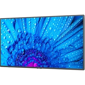 NEC Display 65" Ultra High Definition Professional Display - 65" LCD - High Dynamic Range (HDR) - 3840 x 2160 - 16:9 - 8 m