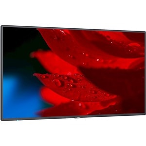 NEC Display 43" Wide Color Gamut Ultra High Definition Professional Display - 43" LCD - High Dynamic Range (HDR) - 3840 x 