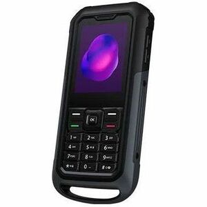 TCL 3189D 2.4 4G GRAY
