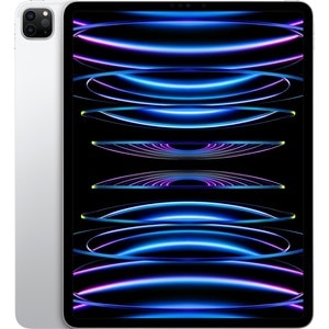 Apple iPad Pro (4th Generation) 平板 - 27.9 cm (11") - Apple M2 八核 - 8 GB - 256 GB 存储 - 银 - 2388 x 1668 - 原彩技术, 面内交换(IPS)技术,