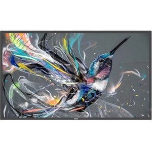 Philips Q-Line 50BDL3511Q 125.7 cm (49.5") LCD Ecrã de assinatura digital - Alinhamento vertical (VA) - 3840 x 2160 - Dire