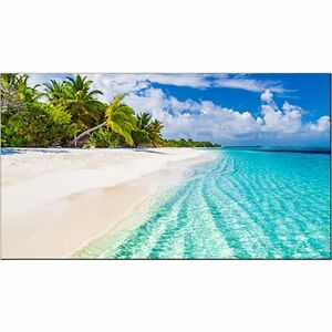 Vestel WY55B/2H 1397 mm LCD Digital Signage Display - 24 Hours/7 Days Operation - In-plane Switching (IPS) Technology - 19