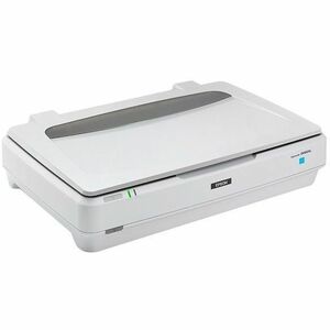 Epson Expression 13000XL Large Format Flatbed/Film Scanner - 2400 dpi Optical - 48-bit Color - 16-bit Grayscale - Color, M