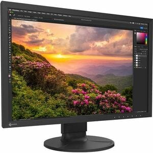 EIZO ColorEdge CS2400S 24" Class WUXGA LED Monitor - 16:10 - Black - 24.1" Viewable - In-plane Switching (IPS) Technology 