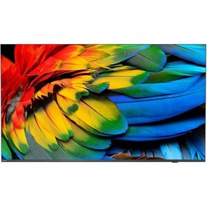 Philips Professional 109,2 cm Smart LED-LCD TV - 4K UHDTV - Anthrazit, Schwarz - LED Hintergrund-beleuchtung - Google Assi
