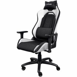 Fauteuil Gaming Trust GXT 714W RUYA - Nylon, Plastique, Bois, Mousse, Mousse polyuréthane - Blanc