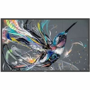 Philips Q-Line 43BDL3650Q 1079.50 mm 4K UHD LCD Digital Signage Display - 18 Hours/7 Days Operation - Advanced Super Dimen