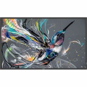 Philips Q-Line 50BDL3650Q 1257.30 mm LCD Digital Signage Display - 18 Hours/7 Days Operation - Vertical Alignment (VA) Cor