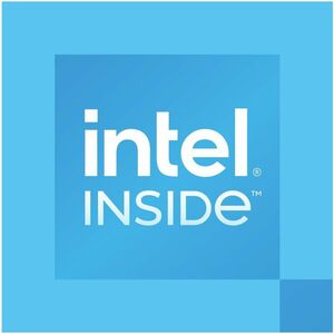 Intel 300 Dual-core (2 Core) 3.90 GHz Processor Upgrade - 6 MB L3 Cache - 2.50 MB L2 Cache - 64-bit Processing - Socket LG