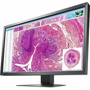 EIZO RadiForce MX317W 31" Class 4K LED Monitor - 17:9 - 77.5 cm (30.5") Viewable - In-plane Switching (IPS) Technology - L