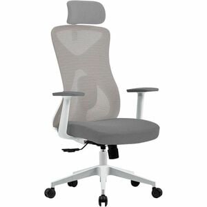 Silla de Oficina Acteck Floe Pro EC737 / Ergonómica + Ajuste lumbar + Reposa brazos fijo + Sistema de bloqueo / Reposa bra