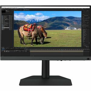 BenQ Photographer SW242Q 24" Class WQXGA LED Monitor - 16:10 - 24.1" Viewable - In-plane Switching (IPS) Technology - LED 
